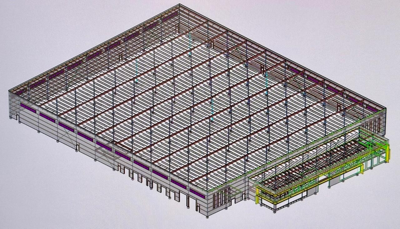 Warehouse Steel Framing Detailing (SDS/2)